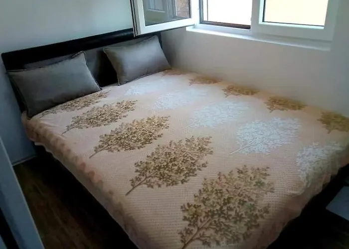 Radovic Vrnjačka Banja